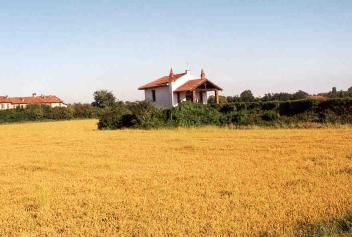 foto chiesa in estate